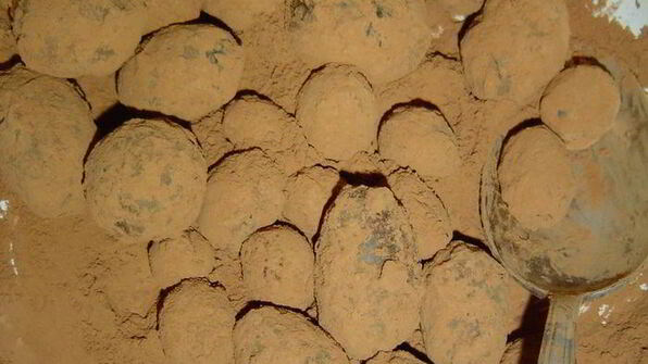 десерт из винограда и шоколада трюфельки