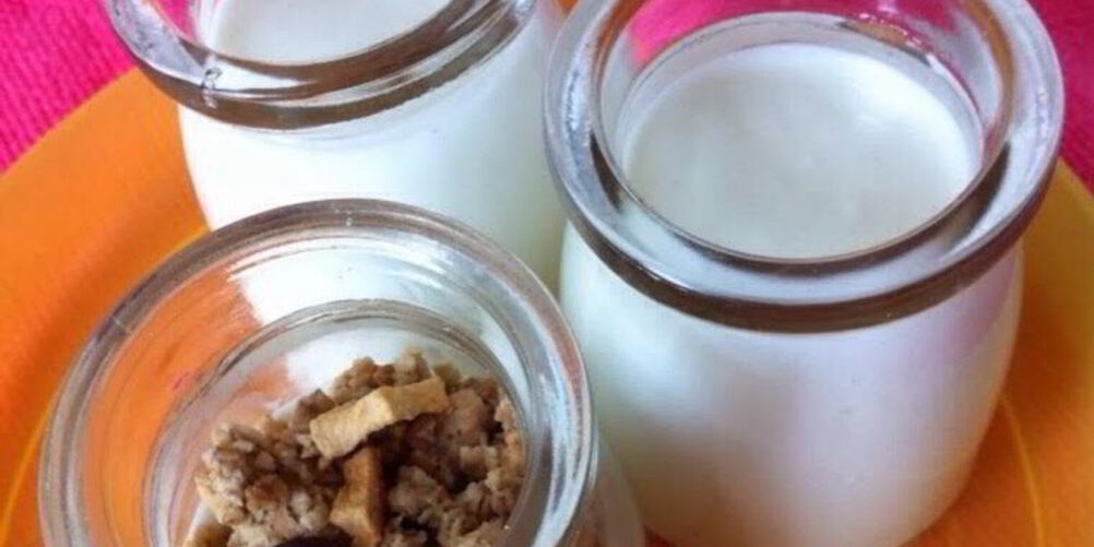 Рецепт йогурта в хлебопечке