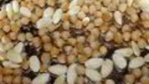 марципановые конфеты из нута, миндаля и фиников