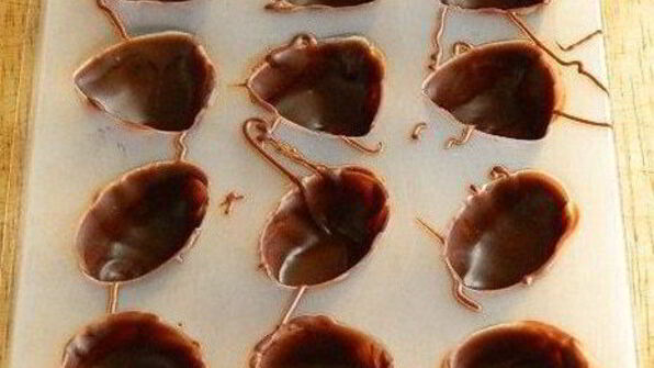 шоколадные конфеты с творожным сыром