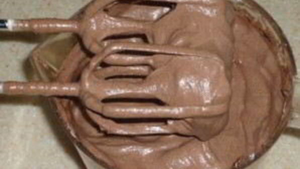 крем для шоколадного бисквита