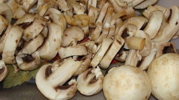 сырные трубочки с кремом