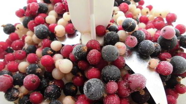 бесподобное сыроедческое мороженое