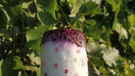 Легкое йогуртовое мороженое