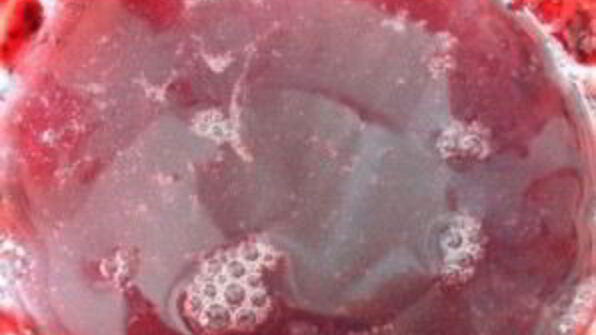 смородиновый мусс