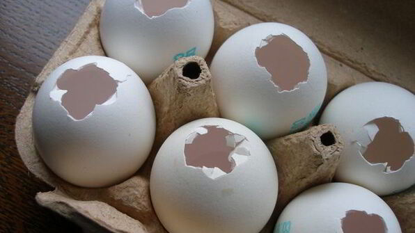 пасхальные брауни в яичной скорлупе