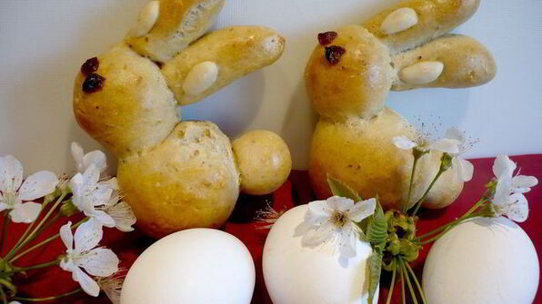 пасхальные зайцы в темно-синем лесу