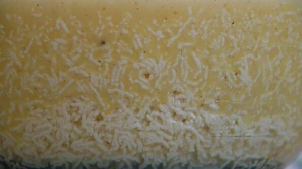 цитрусовая пасха