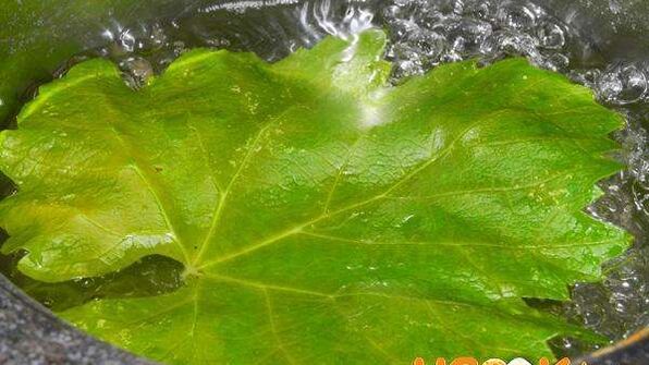 долма из говядины