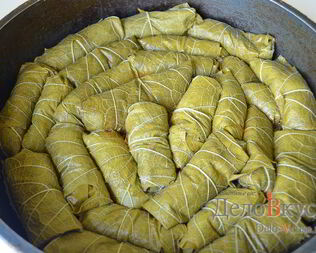 Долма из виноградных листьев