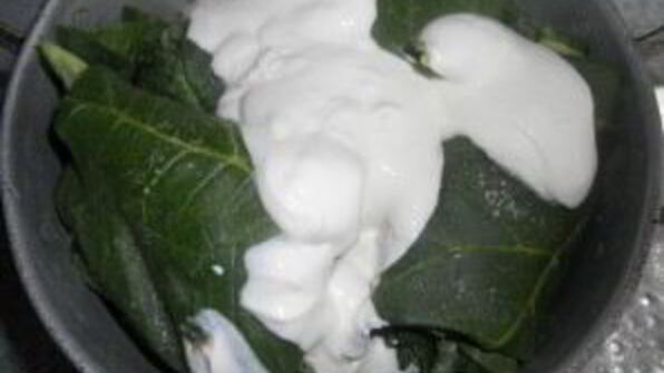 голубцы из ревеня