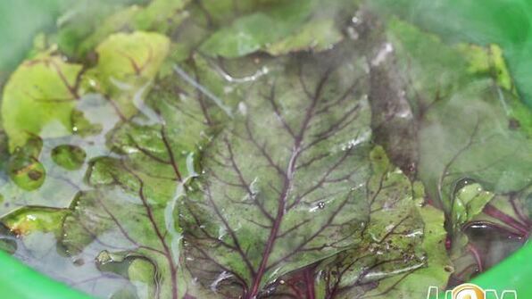 голубцы из свекольной ботвы с булгуром