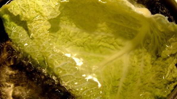 паровые голубцы