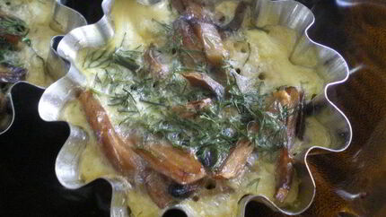 Грибы Бристольские