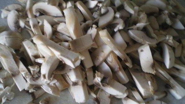 грибы бристольские