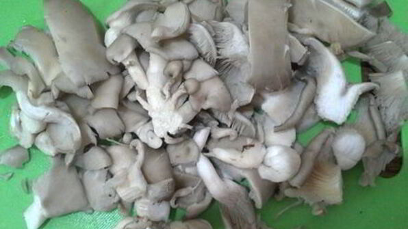 грибы вешенки с овощами по-корейским мотивам