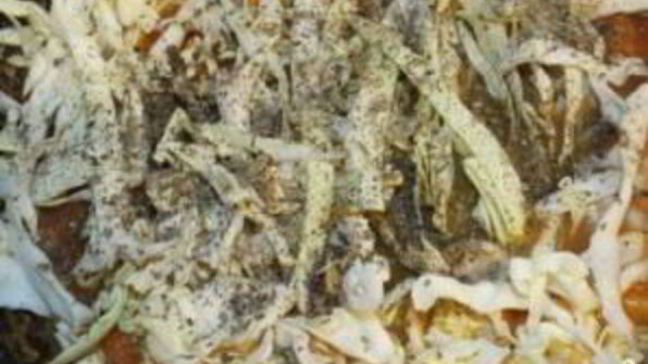 шампиньоны тушеные с овощами