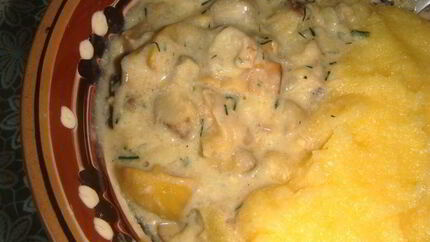 Смажанка — грибы в сметане