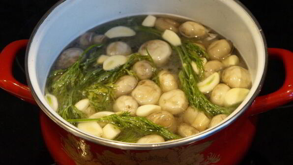 соленые шампиньоны