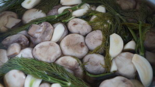 соленые шампиньоны