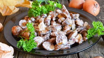 Жареные маслята в сметане