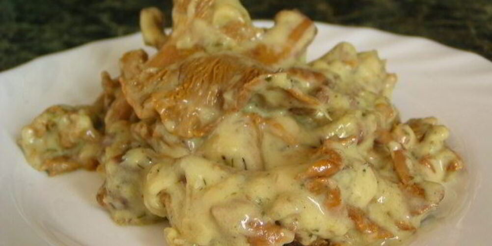 Рецепт гуляша из лисичек