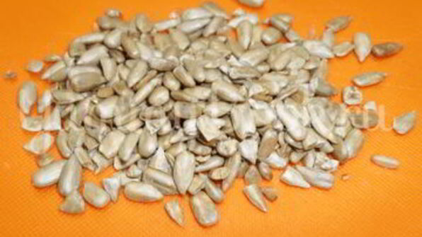 котлеты, панированные семечками