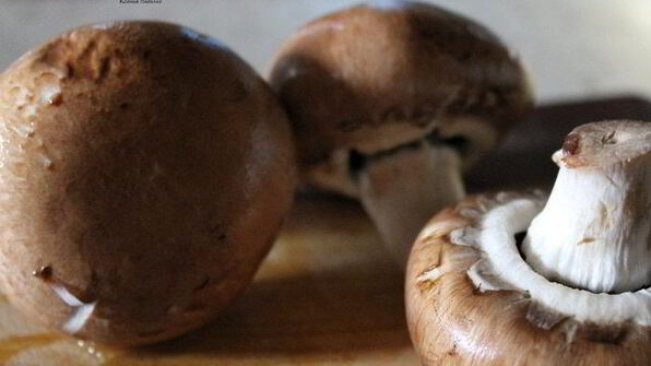 лапша с морепродуктами и грибами