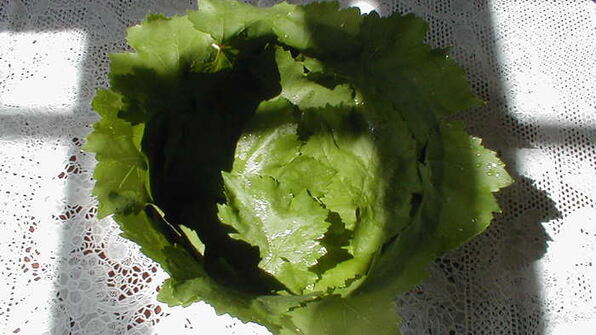 виноградная лазанья