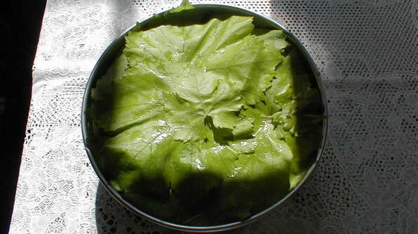 виноградная лазанья