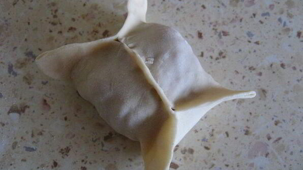 манты казахстанские