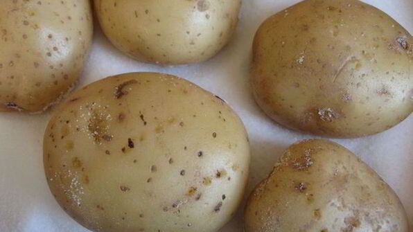 картофель по-французски