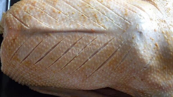 запеченный гусь с яблоками и алычой в духовке