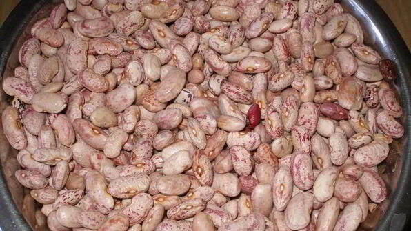 лобио из фасоли в мультиварке