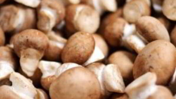 рагу из оленины