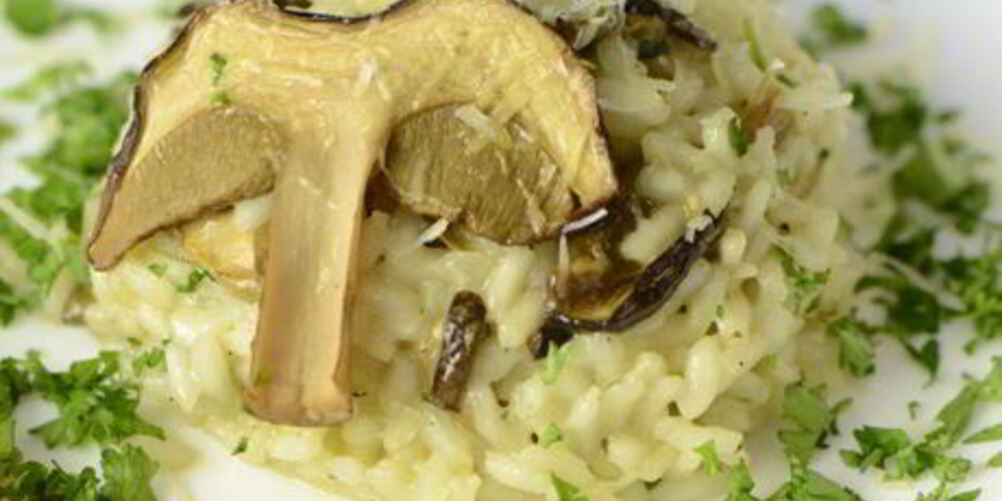 Рецепт ризотто с белыми грибами