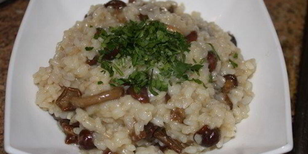 Рецепт традиционного ризотто с опятами