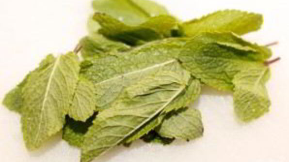 дорада в имбирно-мятном маринаде