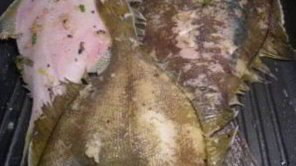 камбала на гриле