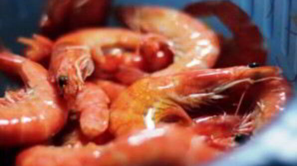 креветки в соево-чесночном соусе