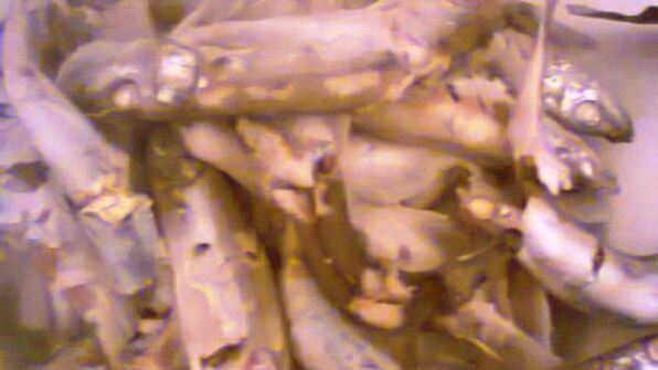 мойва с мандариновой сальсой