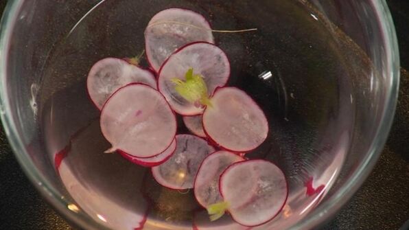 морской гребешок на пюре из цветной капусты