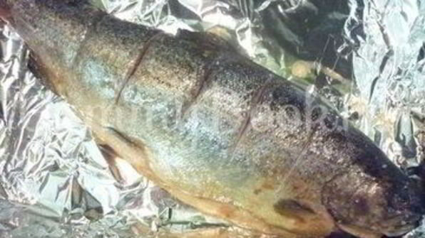 радужная форель, запеченная в фольге с лимоном