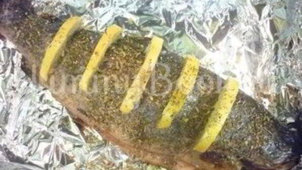 радужная форель, запеченная в фольге с лимоном