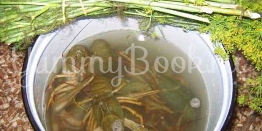 Рецепт раков в пиве