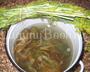 Раки в пиве