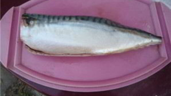 скумбрия на мангале