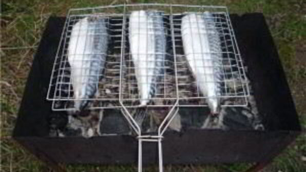 скумбрия на мангале