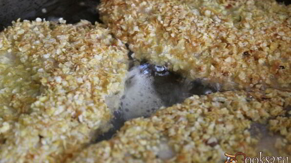 тилапия в хрустящей панировке