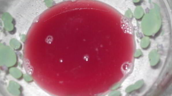 хазани хоровац — шашлык в кастрюле